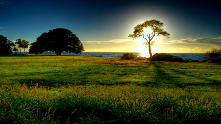 Nature