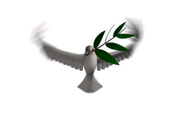 peace-developers of front end